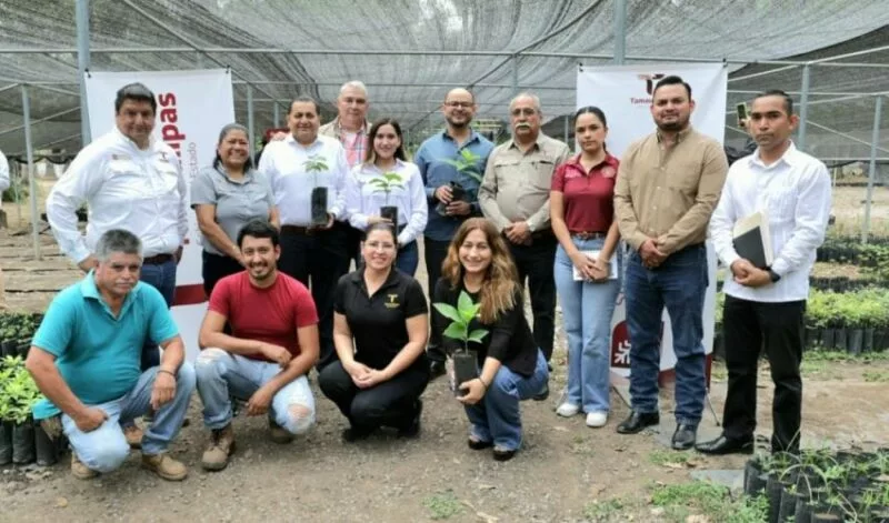 Promueven Gobierno del Estado y Congreso de Tamaulipas reforestación ambiental