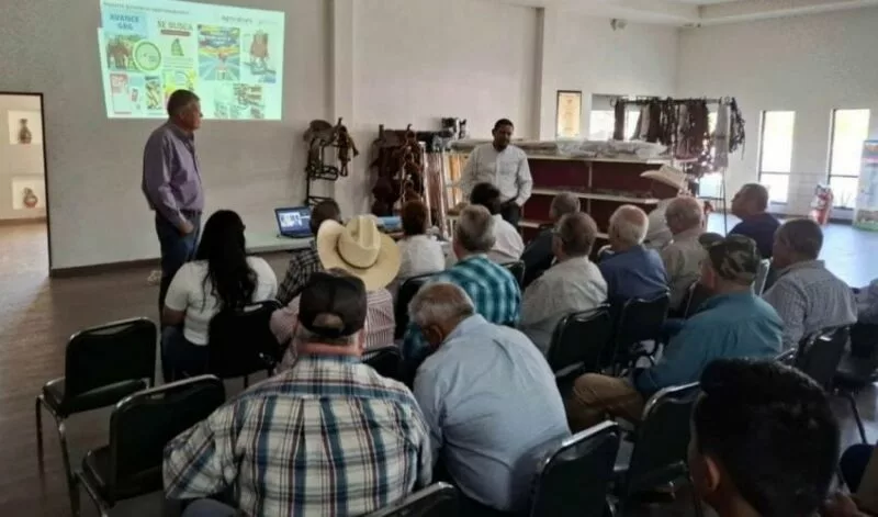Refuerza Tamaulipas acciones de sanidad animal ante declaratoria de zona libre del gusano barrenador
